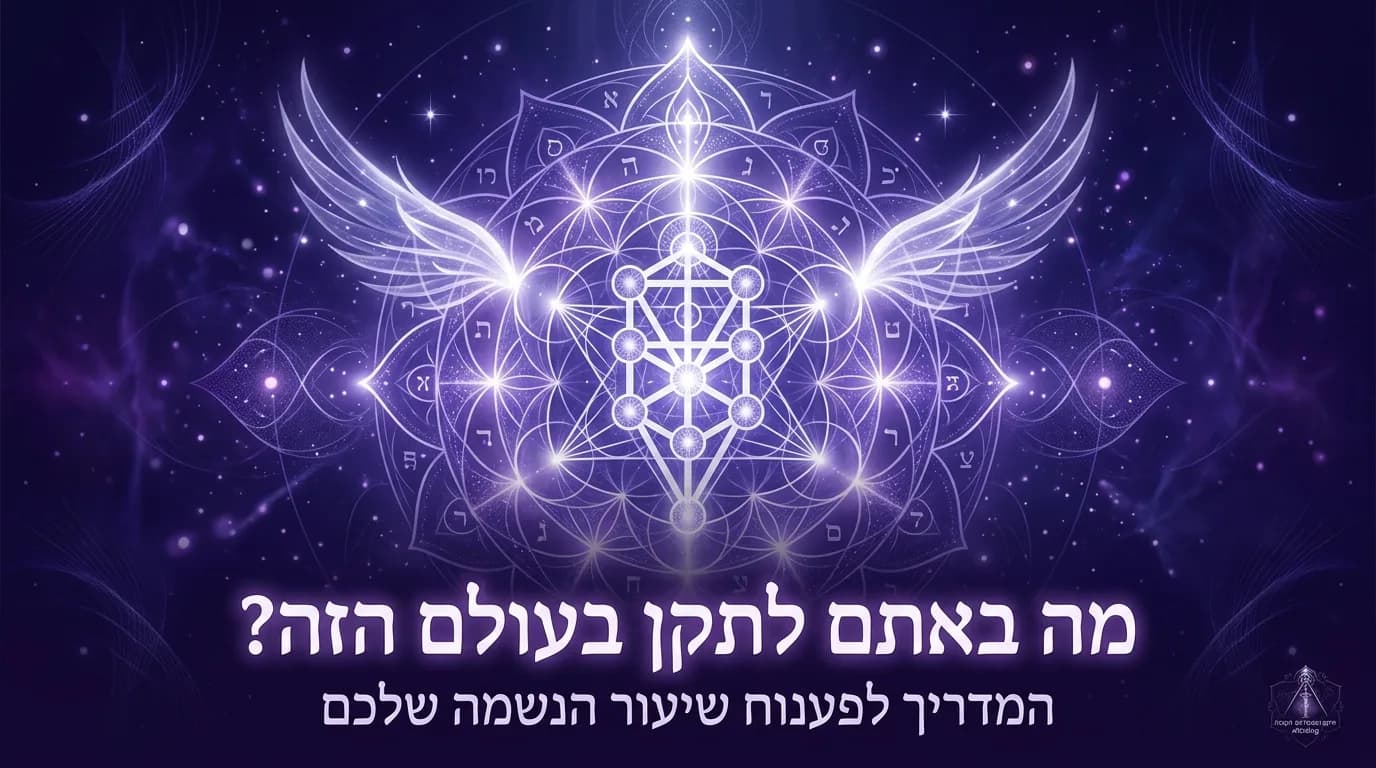 מה באתם לתקן בעולם הזה? המדריך לפענוח שיעור הנשמה שלכם