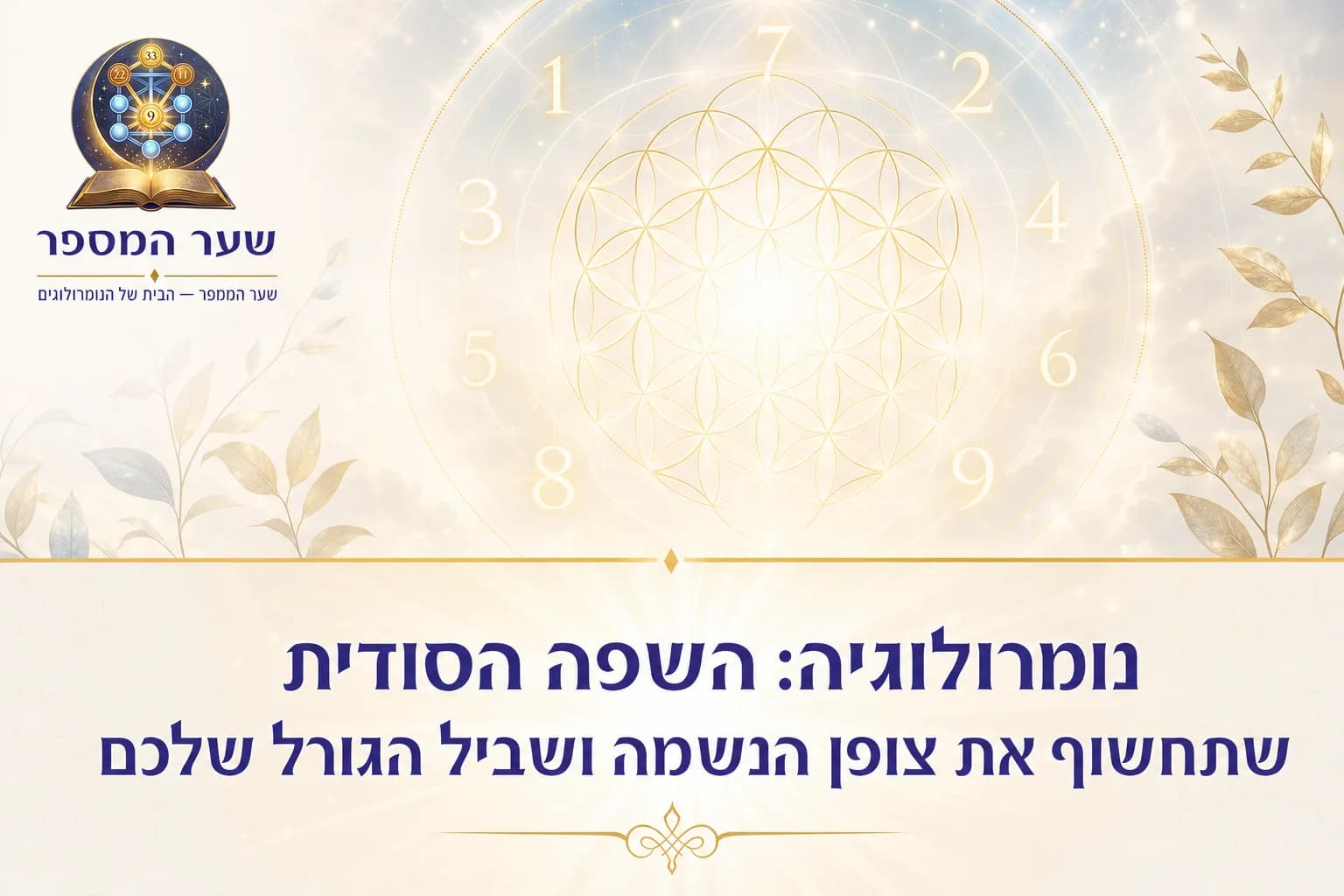 נומרולוגיה: השפה הסודית שתחשוף את צופן הנשמה ושביל הגורל שלכם